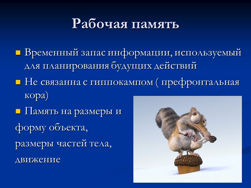 Рабочая память Временный запас информации, используемый для планирования будущих действий Не связанна с гиппокампом